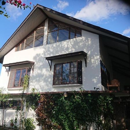 La Jungla Experience Lodgings - Vacation Home And Apartment Букет Екстериор снимка