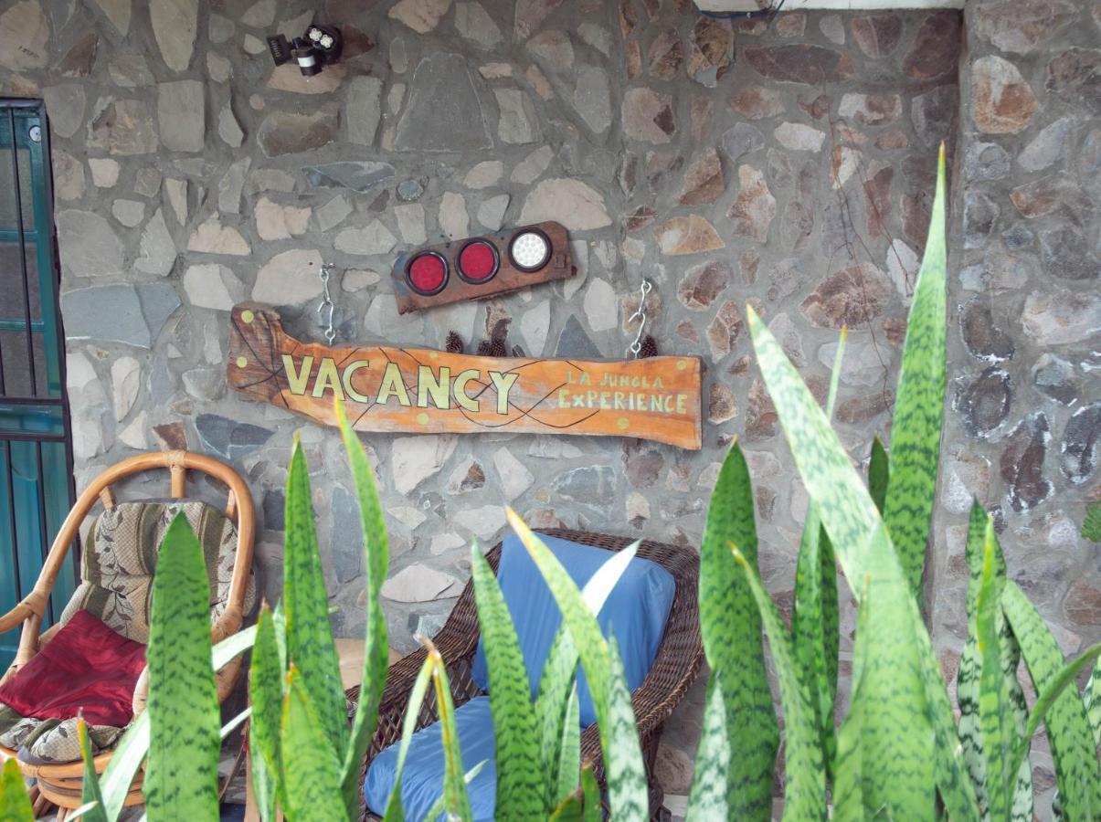 La Jungla Experience Lodgings - Vacation Home And Apartment Букет Екстериор снимка
